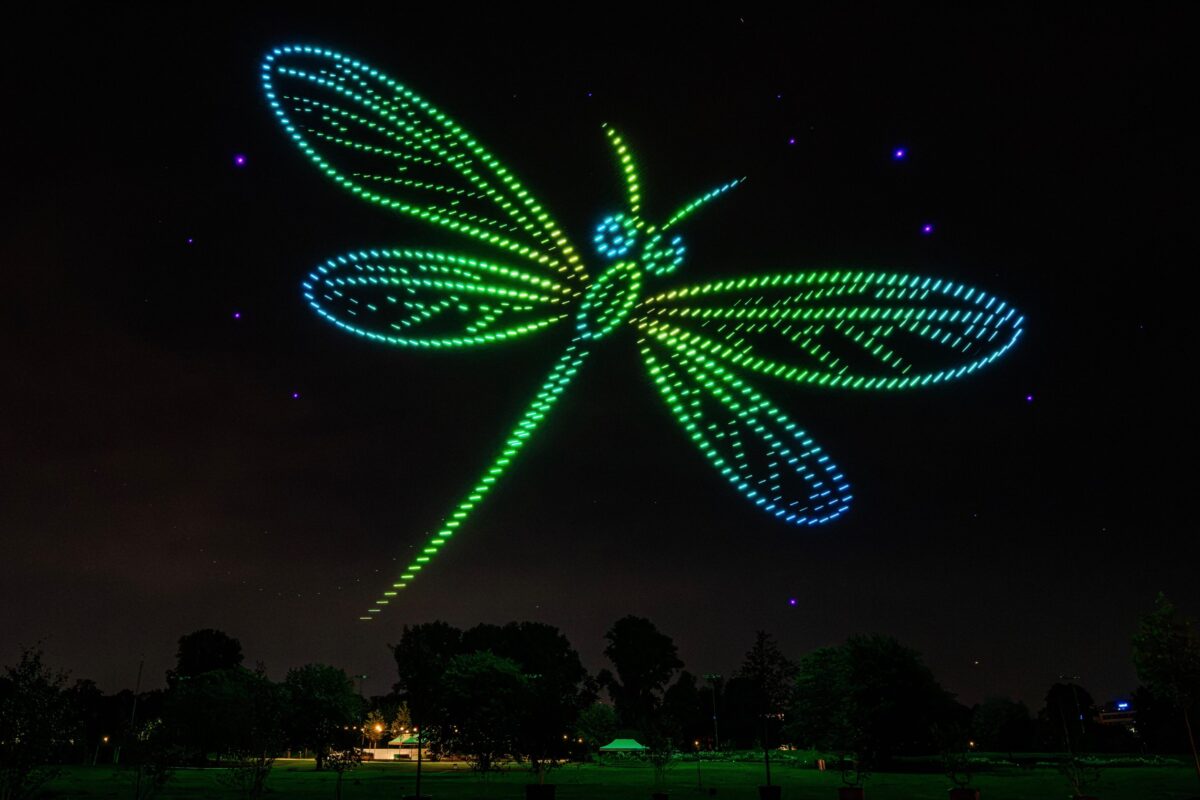 Grüne Libelle aus Lichtdrohnen in den CI-Farben der Landesgartenschau Neuss 2026