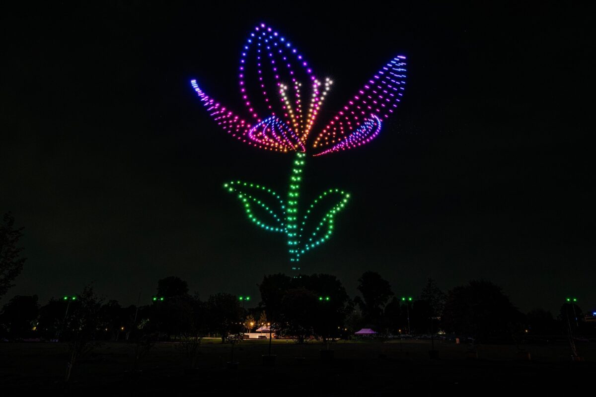Blühende Lotusblüte mit landendem Schmetterling aus Drohnen bei der Landesgartenschau Neuss 2026